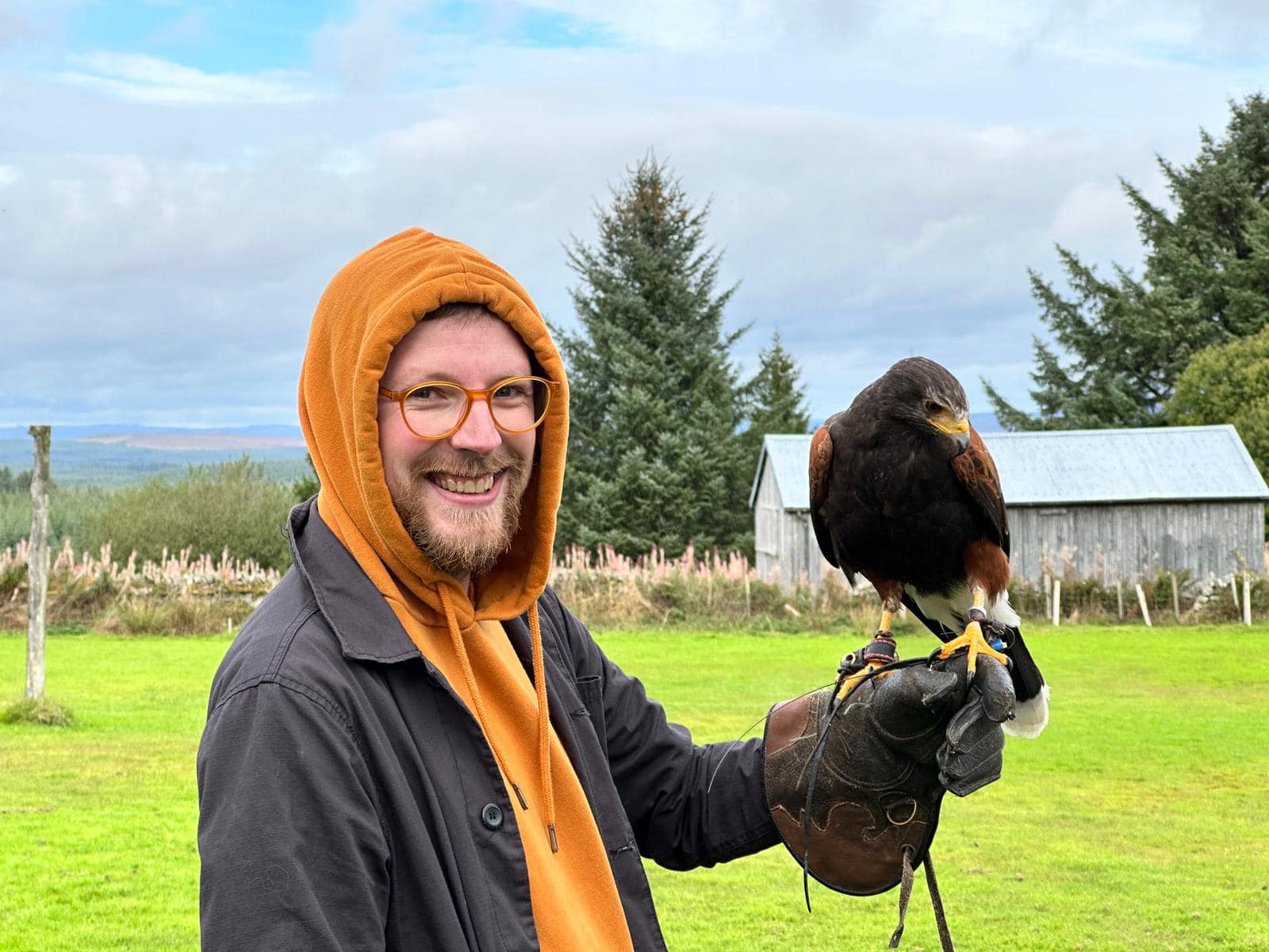 Falconry