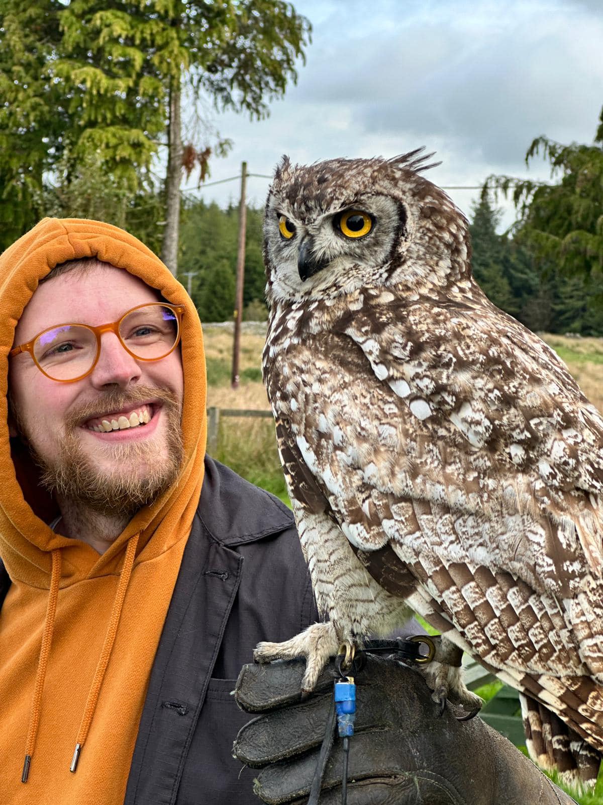 Falconry