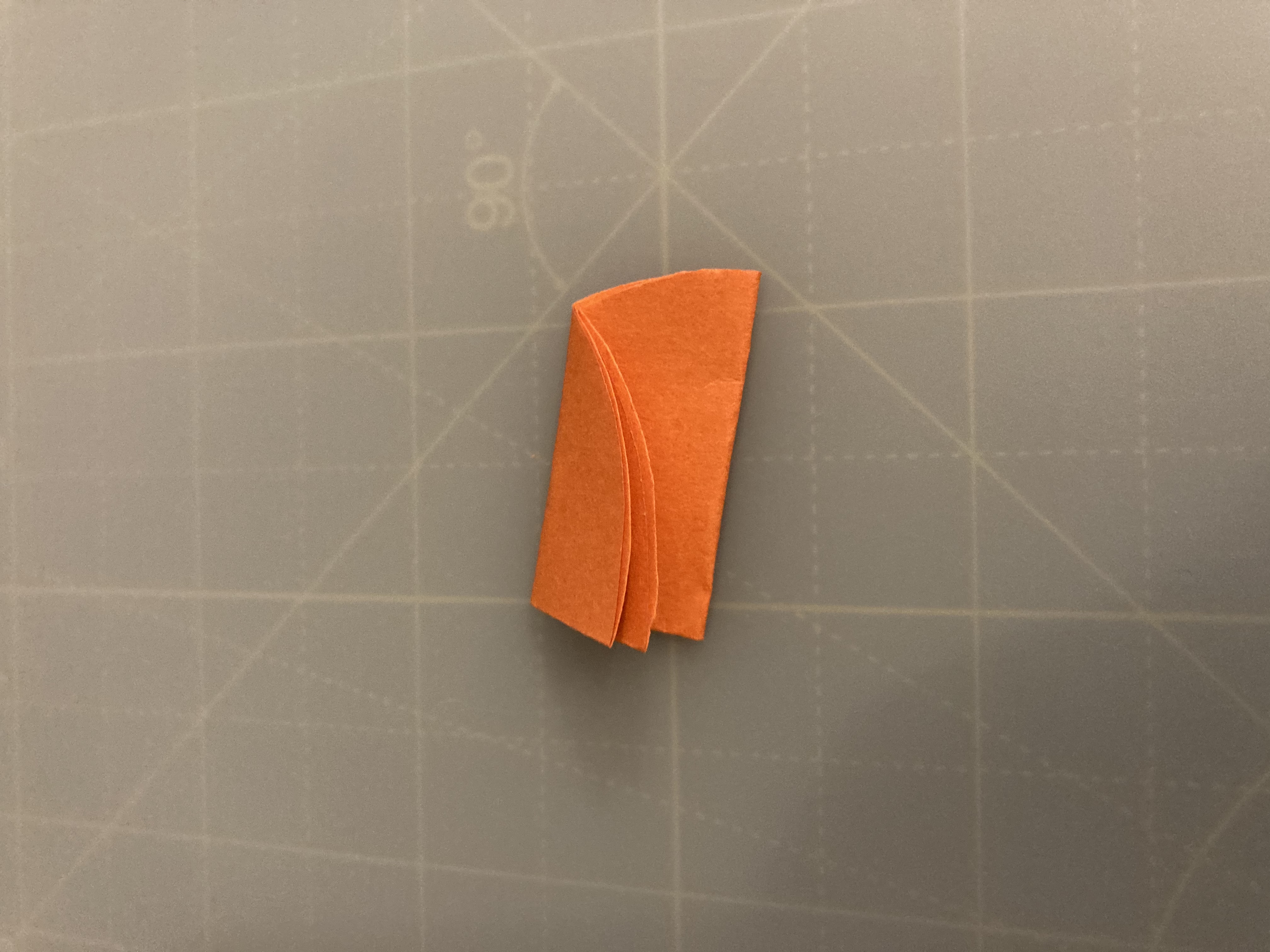 Stage 5